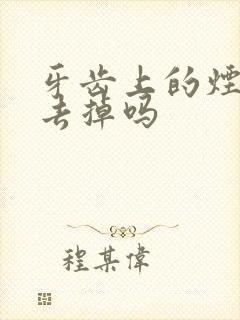 牙齿上的烟渍能去掉吗