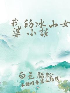 我的冰山女神老婆 小说