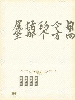 属猪的今日打牌坐哪个方向