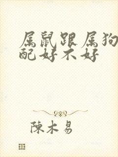 属鼠跟属狗的婚配好不好