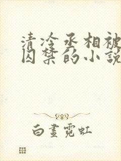 清冷丞相被皇上囚禁的小说