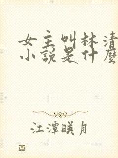 女主叫林清雪的小说是什么