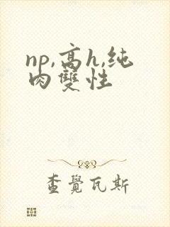 np,高h,纯肉双性