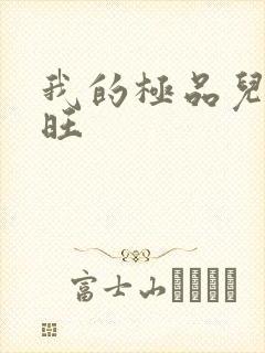 我的极品儿媳老旺