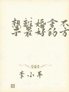 想离婚舍不得孩子最好的方法