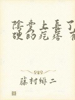 阴囊上长了个硬硬的疙瘩 有时候会痒