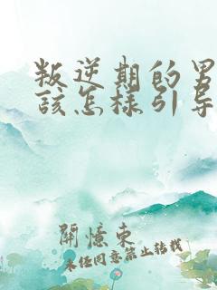 叛逆期的男孩子该怎样引导教育