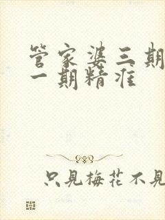 管家婆三期必开一期精准
