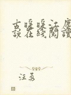 古暖暖江尘御小说在线阅读