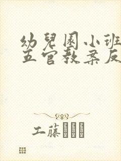 幼儿园小班我的五官教案反思