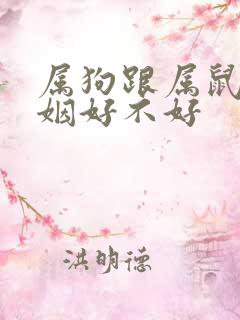 属狗跟属鼠的婚姻好不好