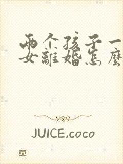 两个孩子一儿一女离婚怎么判