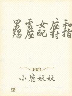 男处女座和女摩羯座配对指数