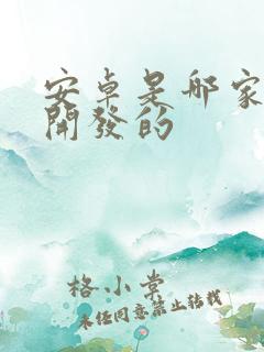 安卓是哪家公司开发的