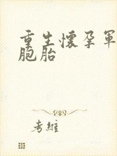 重生怀孕军嫂三胞胎