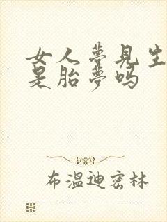 女人梦见生孩子是胎梦吗