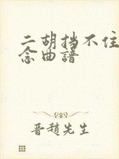 二胡挡不住的思念曲谱