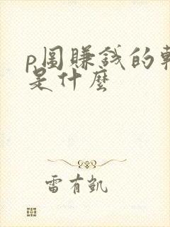 p图赚钱的软件是什么