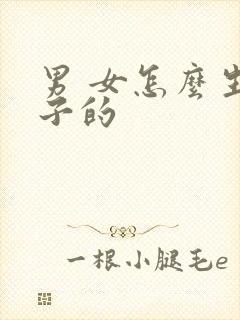 男 女怎么生孩子的