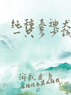 纯种泰迪犬价格一只多少钱