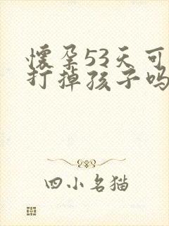 怀孕53天可以打掉孩子吗