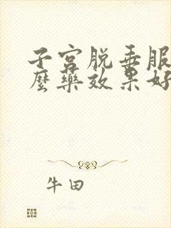 子宫脱垂服用什么药效果好?