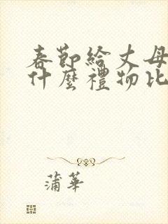 春节给丈母娘送什么礼物比较好