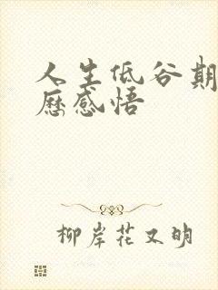 人生低谷期的经历感悟