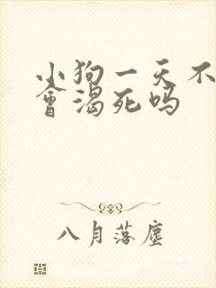 小狗一天不喝水会渴死吗