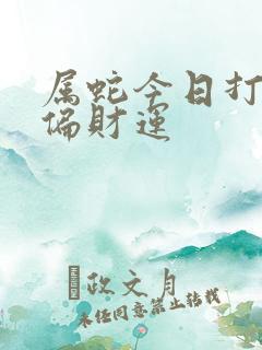 属蛇今日打牌的偏财运