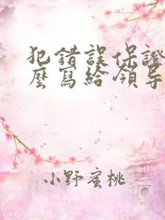 犯错误保证书怎么写给领导