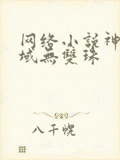 网络小说神澜奇域无双珠