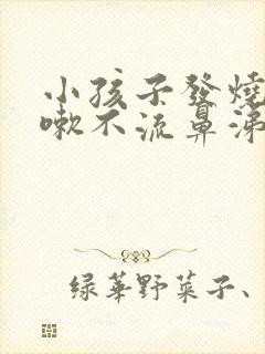 小孩子发烧不咳嗽不流鼻涕怎么回事