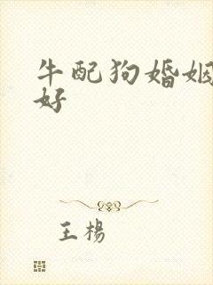 牛配狗婚姻好不好