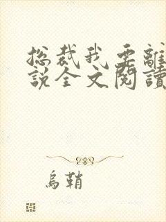 总裁我要离婚小说全文阅读