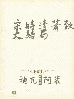 宋时清萧致徐蓉大结局