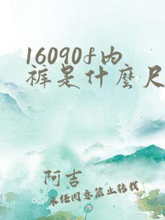 16090f内裤是什么尺码