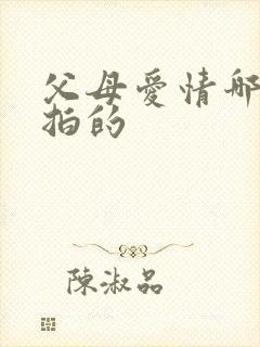 父母爱情哪一年拍的