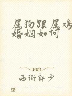 属狗跟属鸡相配婚姻如何