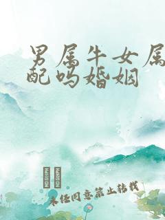 男属牛女属虎相配吗婚姻