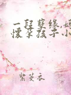 一段孽缘,妈妈怀孕孩子小说