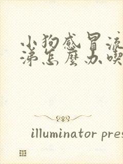 小狗感冒流浓鼻涕怎么办吃什么药