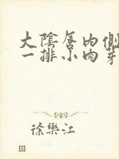 大阴唇内侧长了一排小肉芽