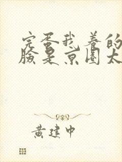 完蛋我养的小白脸是京圈太子爷阅读