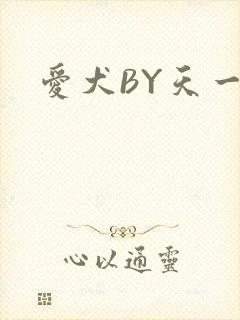 爱犬BY天一
