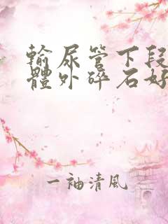 输尿管下段结石体外碎石好吗