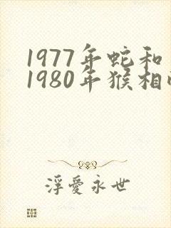 1977年蛇和1980年猴相配吗