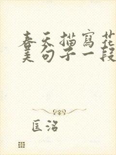 春天描写花的优美句子一段