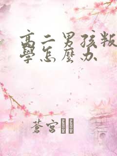 高二男孩叛逆厌学怎么办