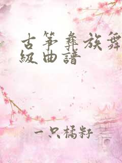 古筝彝族舞曲七级曲谱